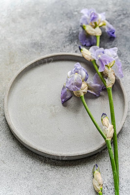 Top view of delicate purple iris flowers arranged on a grey textured surface, featuring a concrete tray as a stylish element of interior decor