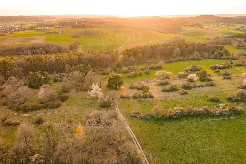 Wide landscape with meadows and forests in evening sunshine, e-bike tour, old sports field in Gechingen, Hecken and Gäu region, Calw district, Germany