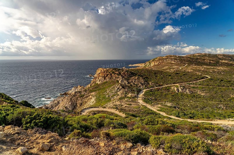 The La Revellata peninsula near Calvi, Balagne, Corsica, France