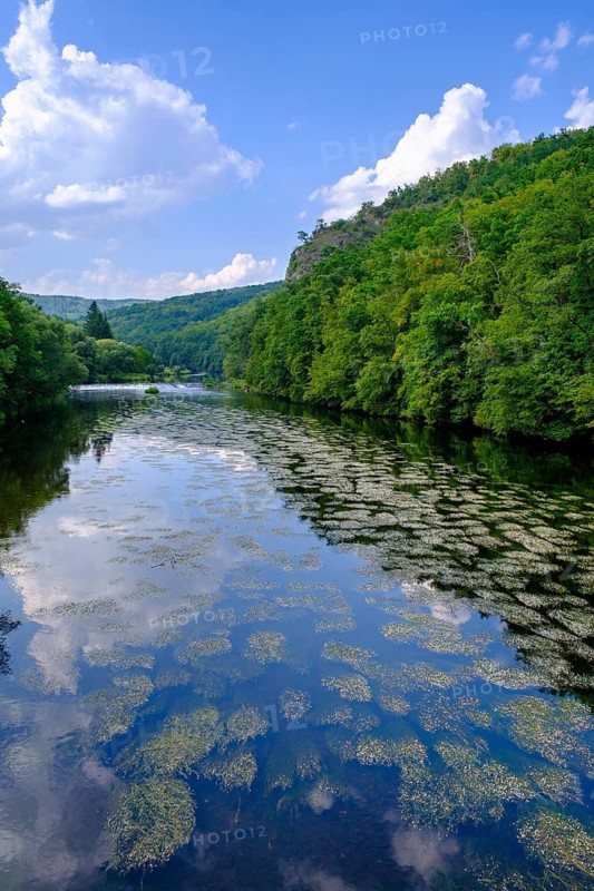 An der Thaya, river, Hardegg, Thaya valley, Thaya valley, border river, Weinviertel, Lower Austria, Austria