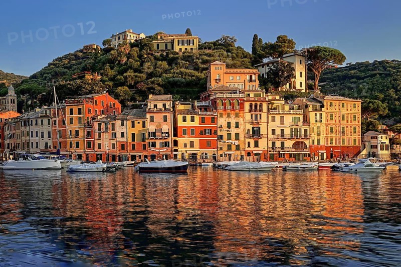 Italy, Cinque Terre, Portofino, harbour and town view, Portofino, Liguria, Italy