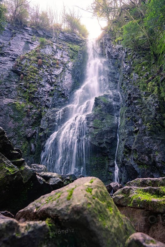 Close-up of a waterfall flowing over steep rocks in a forest, Burgbach Waterfall, Bad Rippoldsau-Schapbach, Black Forest, Germany