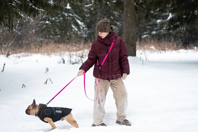 Girl walks a dog on a pink leash in a snowy forest, dressed warmly in a maroon jacket and hat. The dog wears a black coat, exploring the winter wonderland