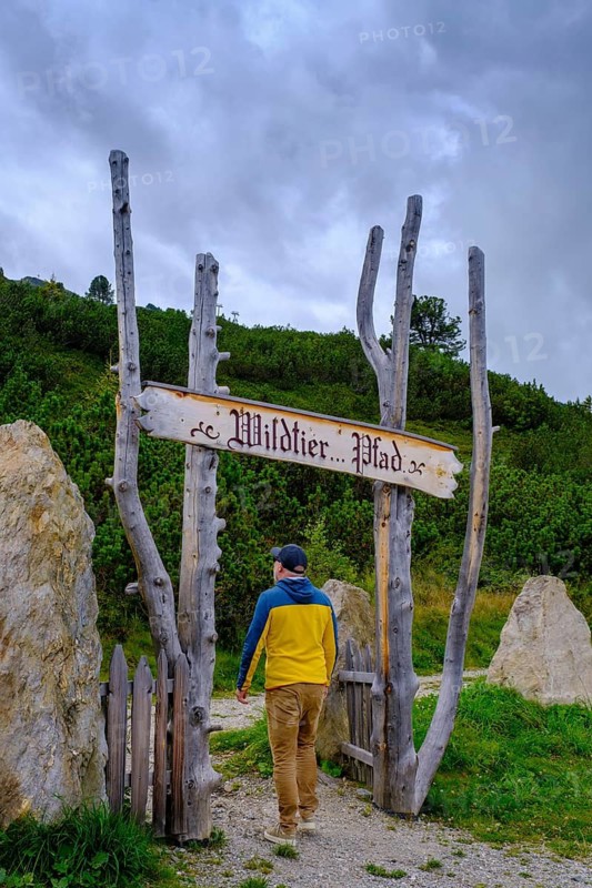 Wildlife trail, Zirmstadl, Zillertaler Höhenstraße, Zillertal, Tyrol, Austria