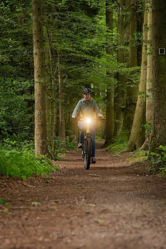 Person riding a bicycle in the forest with the lights switched on. The surrounding area is densely wooded and unspoilt, Bad Teinach, Black Forest, Germany