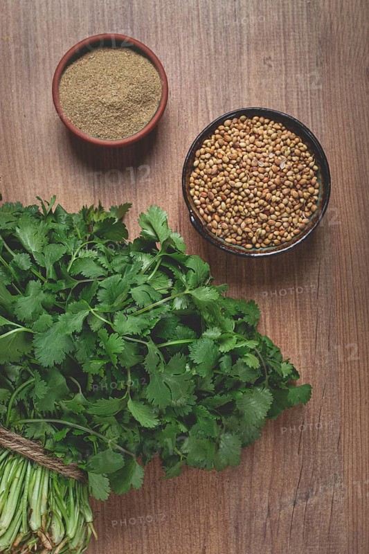 A bunch of fresh cilantro, coriander seeds and powder bowls, close-up, top view, no people, food and drinks