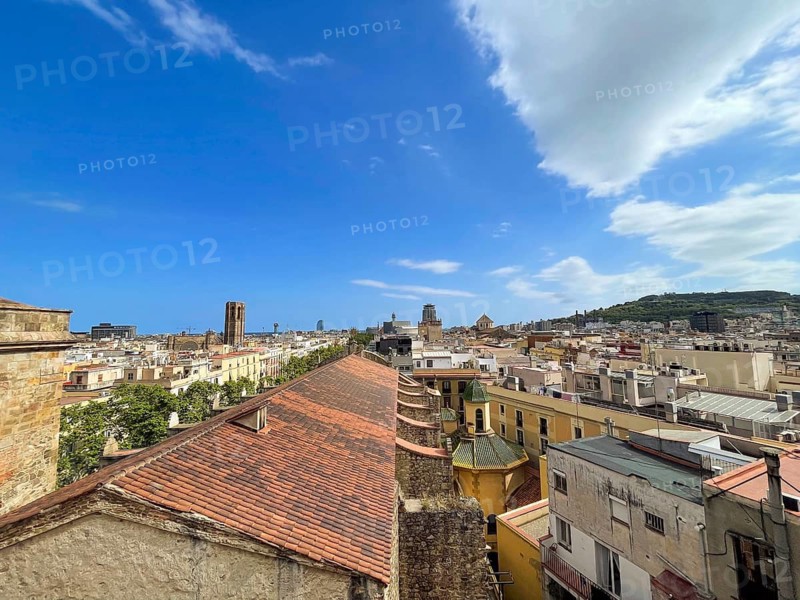 View of the old town and the El Raval neighbourhood in Barcelona, Spain