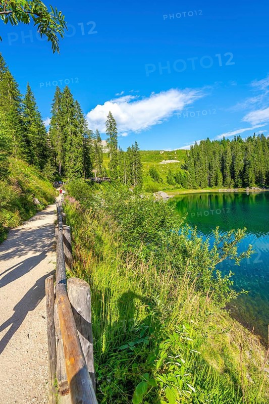 Tourists walking on gravel path along shore of lake carezza, surrounded by lush green vegetation and fir trees, on sunny summer day in dolomites, italy
