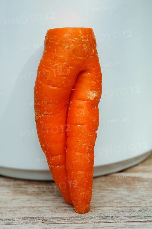 Carrot (Daucus carota subsp. sativus), funny carrot in the shape of trousers, carrot trousers, carrot turnip, yellow turnip, yellow turnip, carrot root, root is leaning against a white pot, vegetable, humour, Germany
