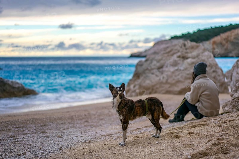 A dog and its owner relax on the sandy shore of Kathisma Beach, Greece, surrounded by turquoise waters and rock formations, on a peaceful cloudy day