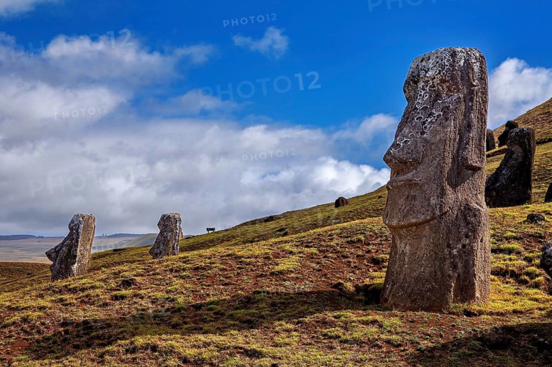 Moai statue against blue sky with clouds on hilly and grassy terrain, The Moai statues on Easter Island in the Pacific Ocean