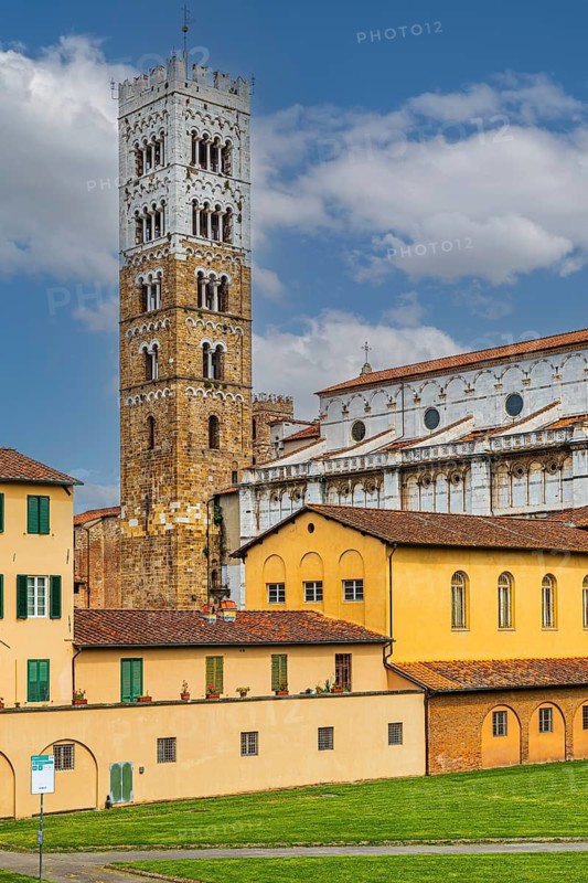 Tower of San Martino Cathedral, historic city centre, Lucca, Tuscany, Italy