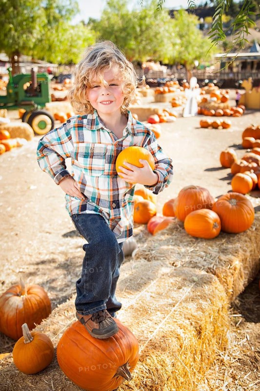 Little Boy Standing in a Rustic Ranch Setting at the Pumpkin Patch