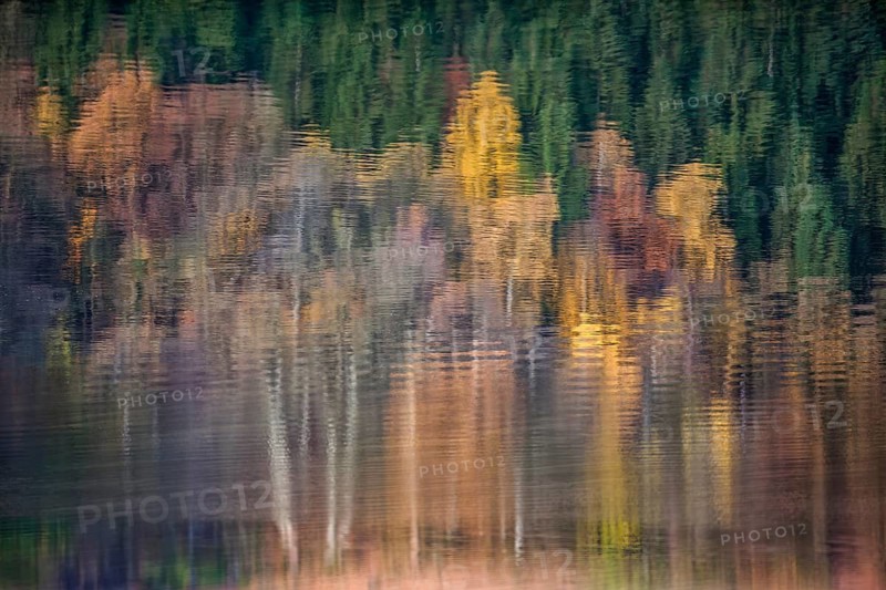 Reflections on a water surface in September