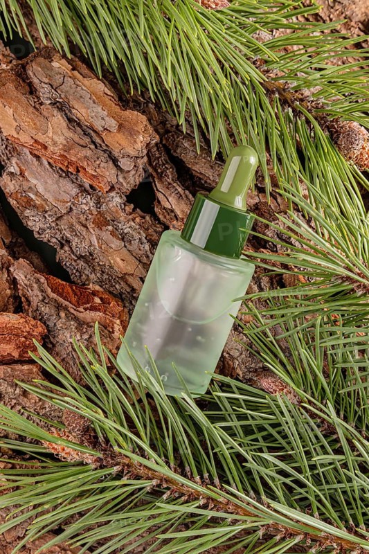 Dropper bottle of essential coniferous oil nestled among vibrant pine needles and rustic tree bark