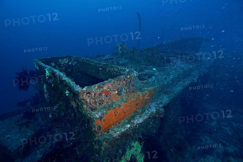 The remains of an old ship, slowly taken over by corals and plants, rest quietly on the seabed, dive site Wreck Le Grecq, Giens Peninsula, Mediterranean, Porquerolles, Provence, Côte d'Azur, France