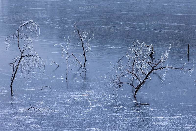 Frozen Schlachtensee, Zehlendorf, Berlin, Germany