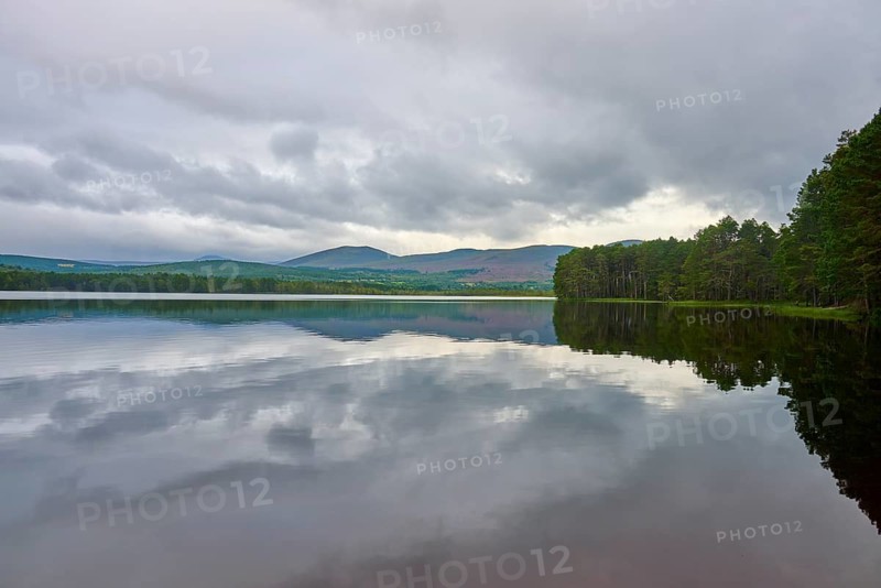 Calm lake with cloud reflection and mountains in the background, surrounded by trees, Loch Garden, Nethy Bridge, Scotland, United Kingdom, Great Britain