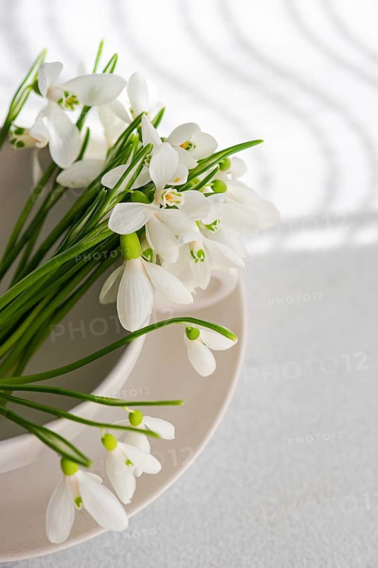 Top view of fresh spring snowdrops elegantly arranged in a white bowl on a textured surface, showcasing their delicate white petals and vibrant green stems