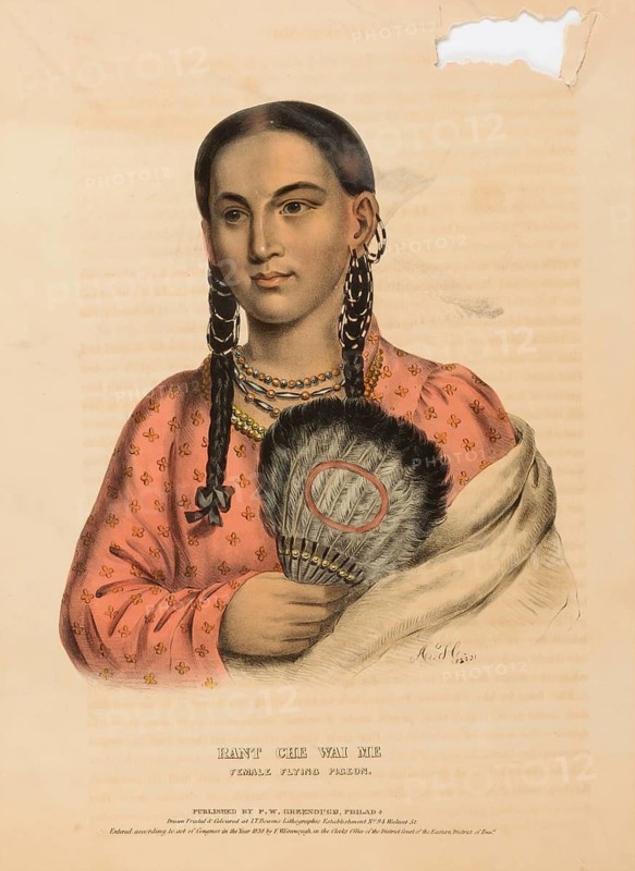 Rant Che Wai Me. Female Flying Pigeon (1838), Native American, Historical Native American tribes from North America, Charles Bird King (1785, 1862), Historical, digitally restored reproduction from a 19th century original, Record date not stated