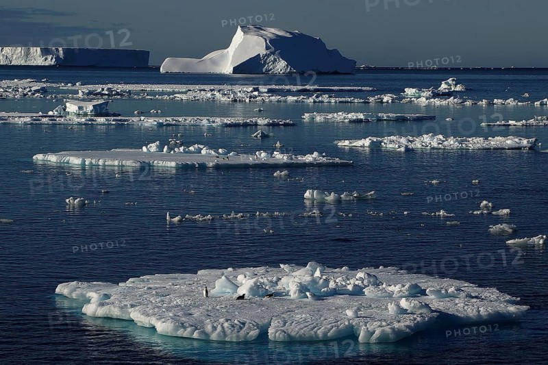 Drift ice in the Wedell Sea, Antarctica