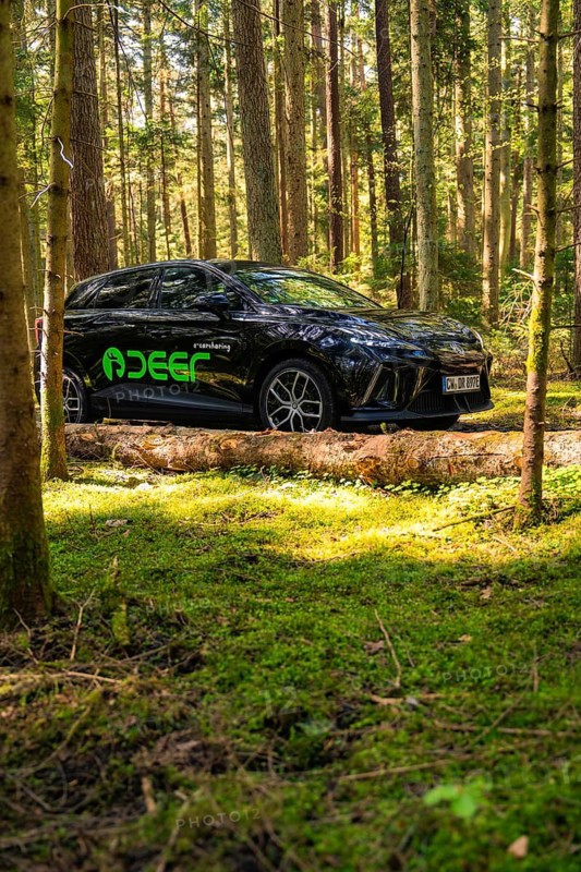 A black car parked in a quiet forest on a moss-covered ground, Deer E- Carsharing, Calw, Black Forest, Germany