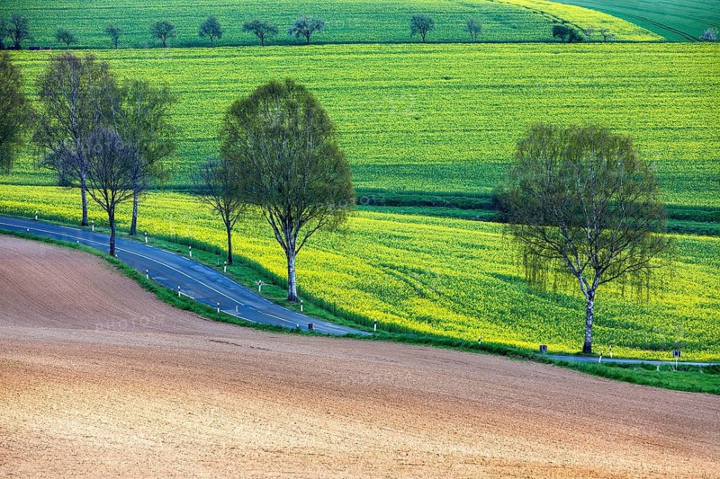 Landscape near Uslar, district of Northeim, Weser Uplands, southern Lower Saxony, Germany