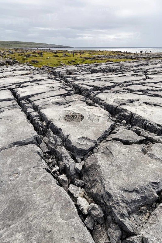 Bizarrely shaped limestone slabs, walkers on the horizon, coastline, limestone coast of the Burren, Murrooghtoohy viewpoint, County Clare, Wild Atlantic Way, Atlantic Ocean, Ireland