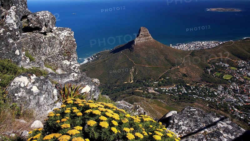 South Africa, Africa, Cape Town, view from Table Mountain