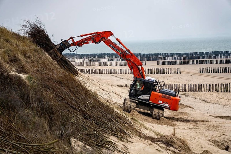 Coastal protection, work on strengthening the dunes with brushwood fences, which are attached to the sand dunes with wooden posts, erosion caused by wind and water is thus slowed down, sand collects on the fine branches and thus strengthens the dune, near Westkapelle, Walcheren Peninsula in the Dutch province of Zeeland
