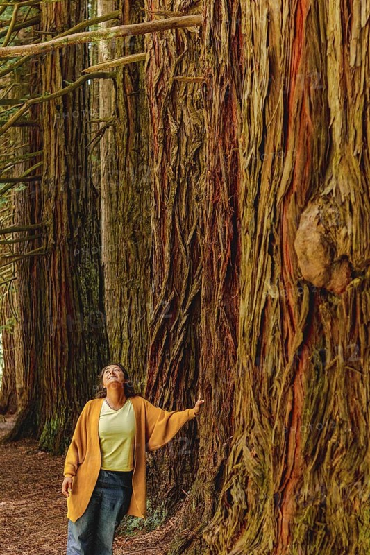 A woman in casual attire stands in awe beside towering redwood trees in a forest of the Great Ocean Road, Australia. The scene captures the grandeur of nature and a moment of peaceful reflection
