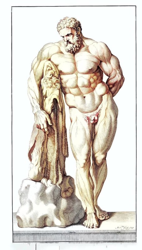 Front view of the Hercules statue in the Palazzo Farnese in Rome, anatomical view, muscular sculpture of Hercules with a lion skin, symbolising strength