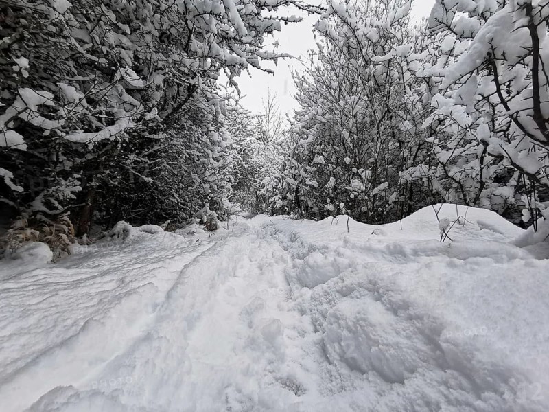 Snowy trail through a dense forest area, Franconian Forest nature park Park