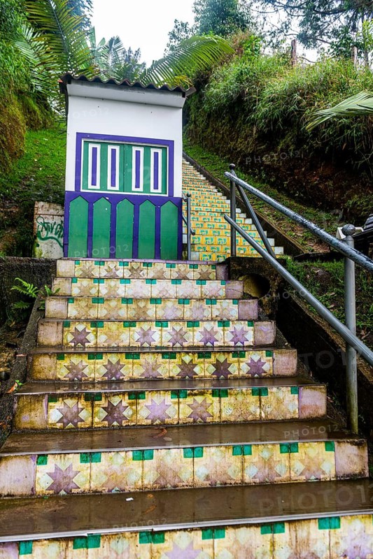 Tiled steps, Unesco site coffee cultural landscape, Salento, Colombia