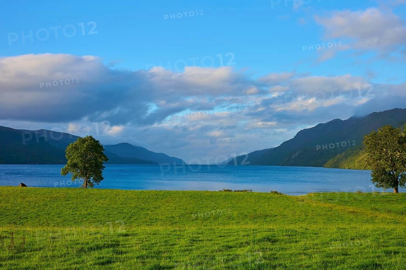 Tranquil lake surrounded by lush green meadow and trees with surrounding mountains under clear skies, Fort Augustus, Loch Ness, Scotland, United Kingdom, Great Britain
