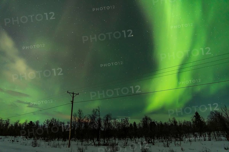 Unrecognizable night-time display of Aurora Borealis stretching across the sky above a snowy landscape dotted with trees and a utility pole near Kiruna, Sweden