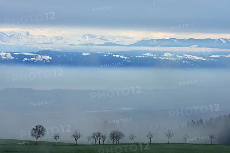 Landscape covered in fog, snow-covered Alps behind, Beinwil, Freiamt, Horben, Lindenberg, Aargau Canton, Switzerland
