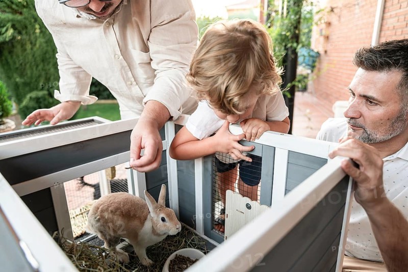 A gay couple lovingly cares for their young son as they feed a rabbit in their garden. The scene captures family bond, pet care, and serene outdoor moments together