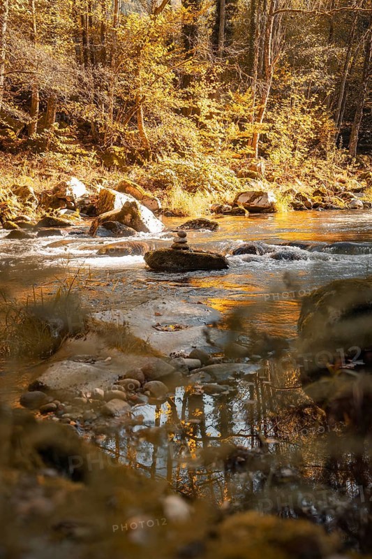 A flowing stream in the forest with bright autumn colours and reflecting light, surrounded by rocks, Black Forest, Germany