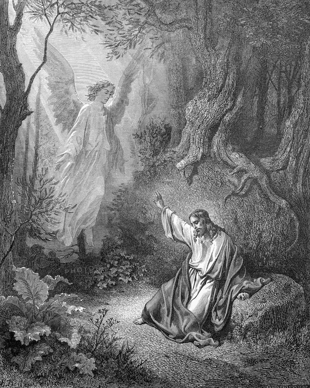 Jesus on the Mount of Olives, Jesus prays in the garden of Gethsemane, Luke chapter 22, verse 41, angel, nature, trees, rock, sitting, help, doubt, giving strength, plants, chalice, drink, Christian religion, Bible, New Testament, steel engraving Doré, historical illustration 1885