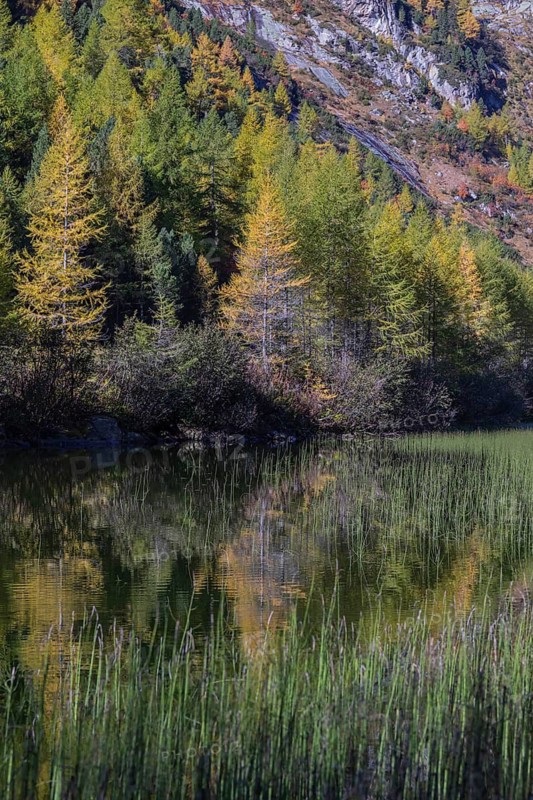 Little pond of the Malta river with a mountain forest in fall foliage on a bright sunny morning. Seen from the Malta Hochalm road. Carithia, Austria