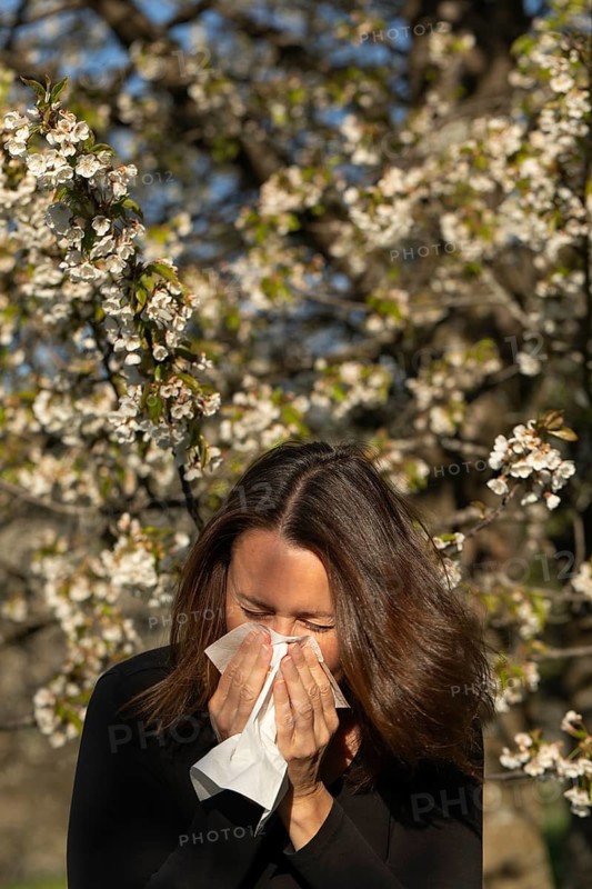 Woman sneezing into a tissue in a blooming orchard during spring. Pollen allergy or hay fever concept