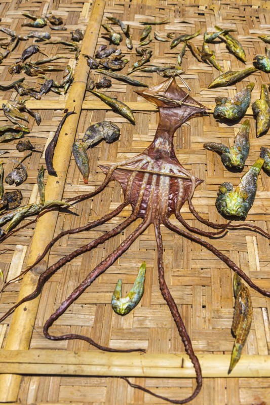 Fish to dry in the sun, squid, octopus, traditional, tradition, Asian, food, nutrition, seafood, hygiene, market, fish market, dried out, economy, cooking, kitchen, art, abstract, culture, salt, preservation, preserve, air, air-dried, Lombok, Indonesia