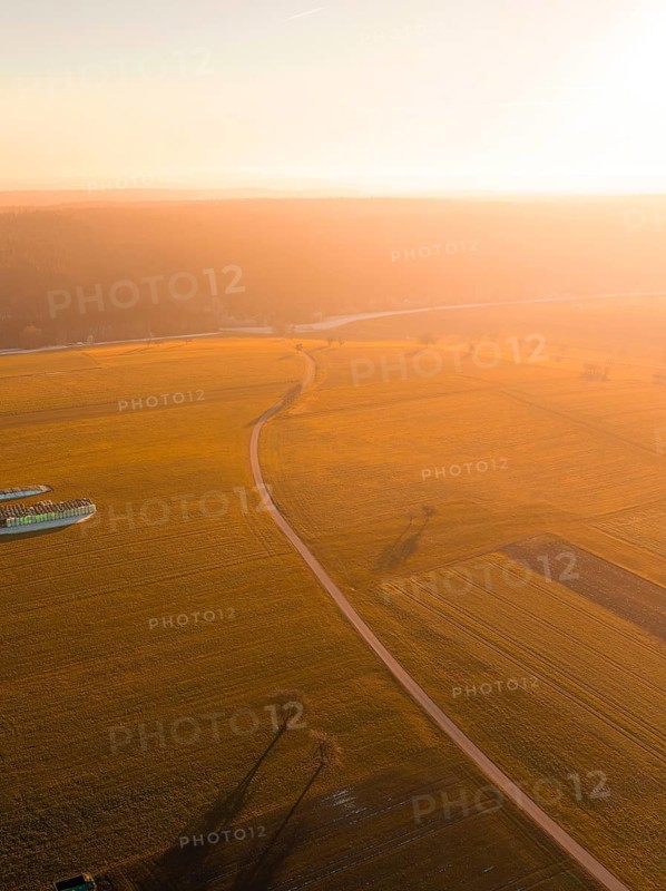Extensive fields in the light of the sunset, long shadows and warm colours, Obergaugstett, Calw district, Black Forest, Germany