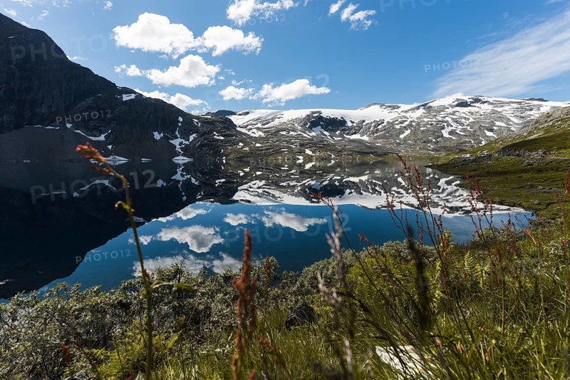 A pristine mountain lake in Norway reflects snow-capped peaks and a bright blue sky Surrounded by wildflowers and greenery, this breathtaking view captures the essence of nature