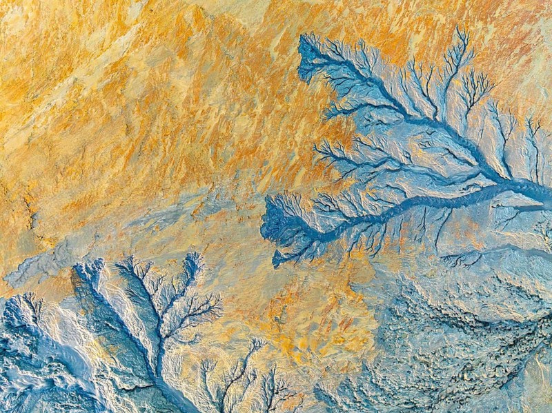 Vibrant abstract fractal image featuring intricate patterns resembling tree branches. The colors blends warm oranges and cool blues, creating a captivating visual contrast