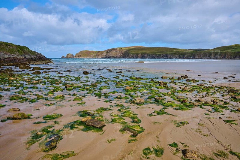 Algae and rocks dot the sandy beach overlooking the sea, Farr Bay, Bettyhill, Thurso, Scotland, United Kingdom, Great Britain