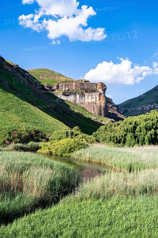Grassland with sandstone cliffs and cliffs, landscape in Golden Gate Highlands National Park, Free State, South Africa