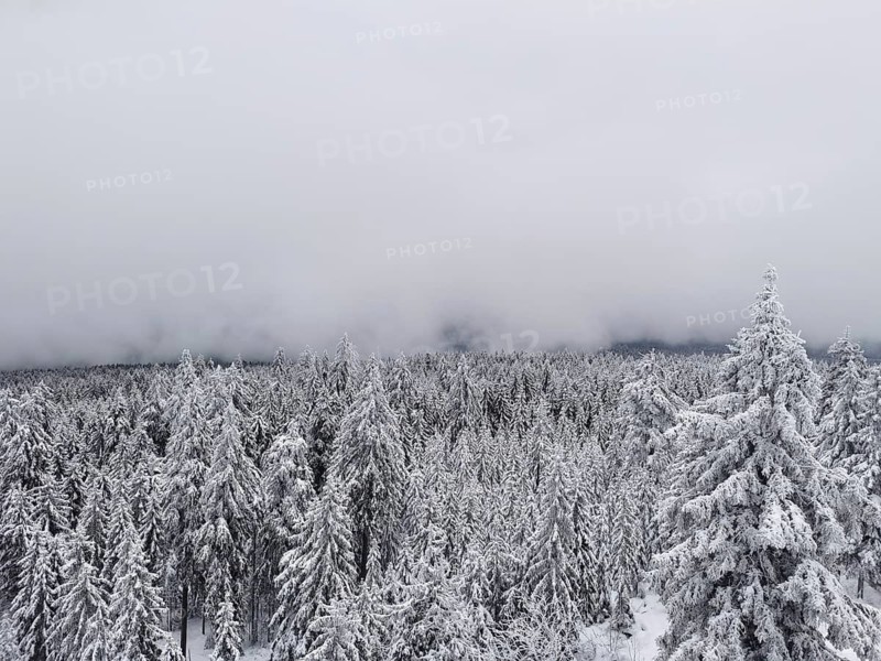 Dense, snow-covered forest with dampening clouds covering the landscape hiking on the Ochsenkopf in the Fichtelgebirge nature park Park