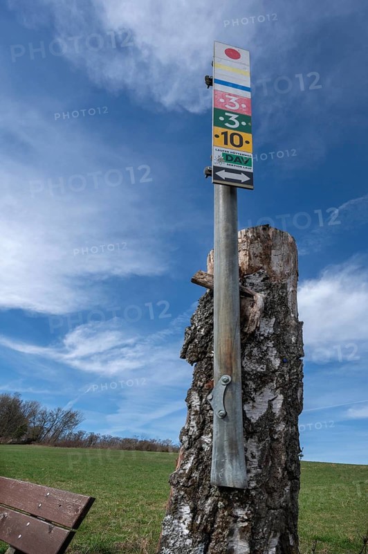 Hiking sign, attached to a birch trunk, Franconia, Bavaria, Germany